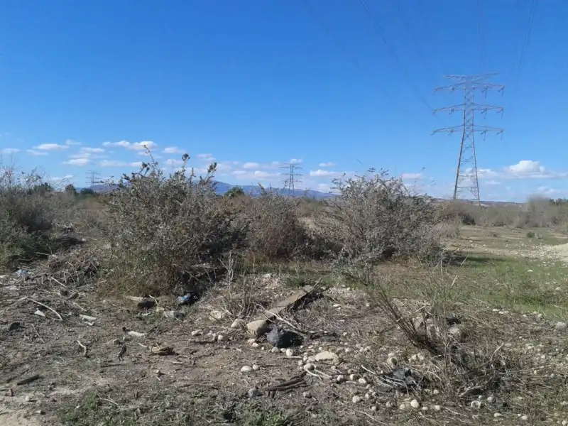 Terreny rústic en venda a Cm Paso de los Carros, imagen 9