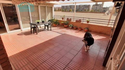 Photo 3 of Flat to rent in Avenida Jarales de Los, Virgen del Remedio - Parque Lo Morant, Alicante