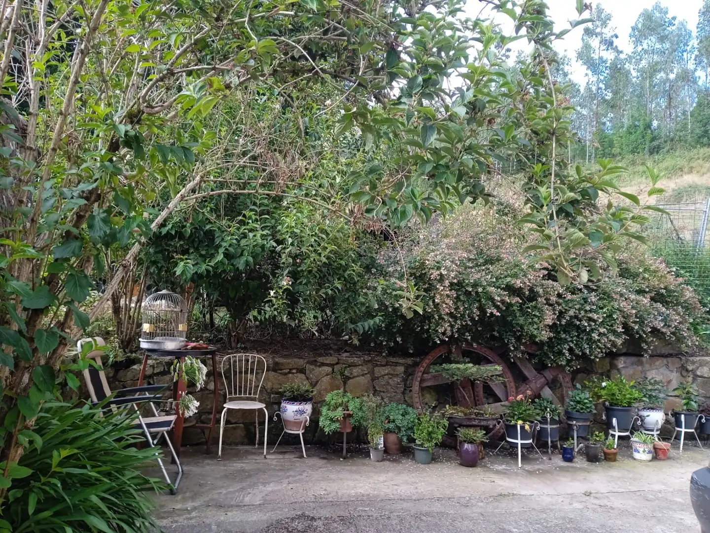 Jardí de Finca rústica en venda en Elorrio amb Jardí privat, Terrassa i Moblat