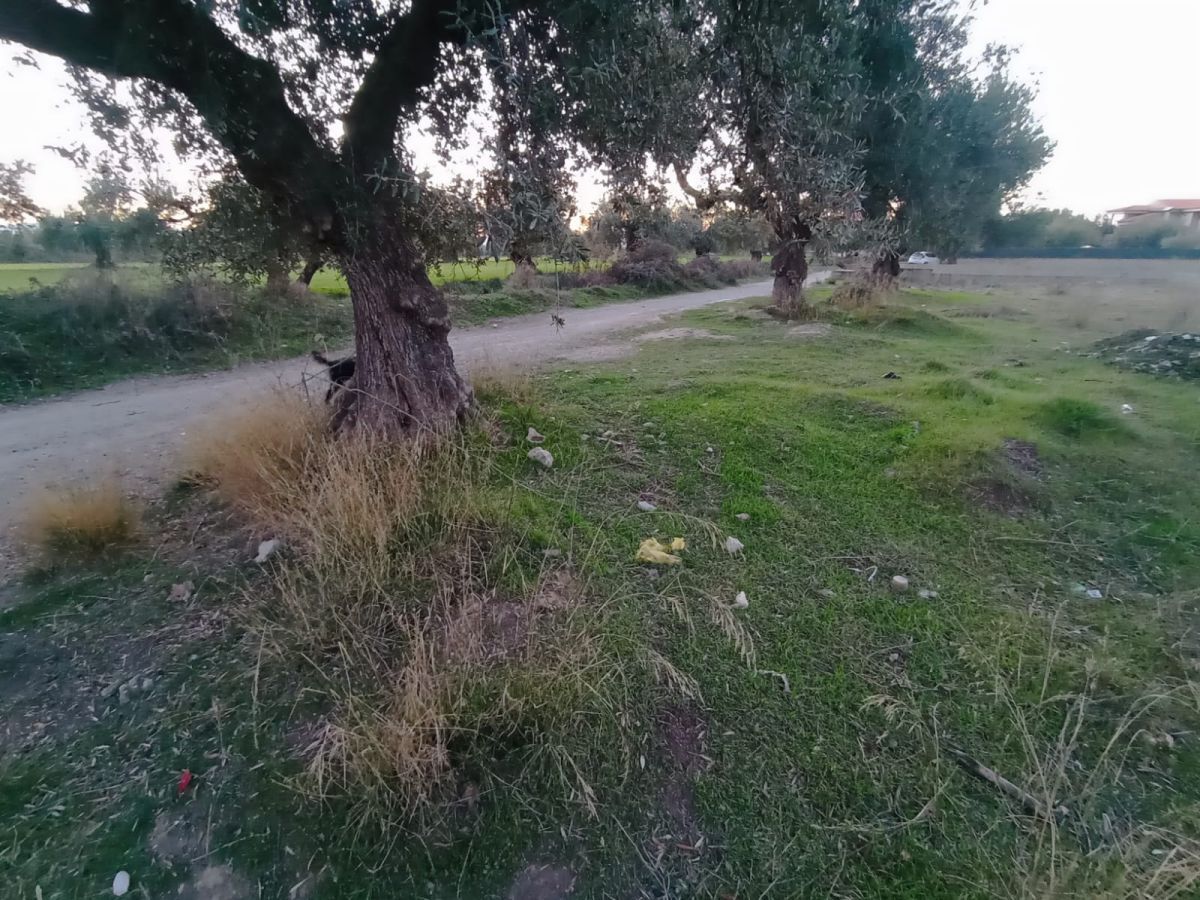 Residential for sale in Ogíjares