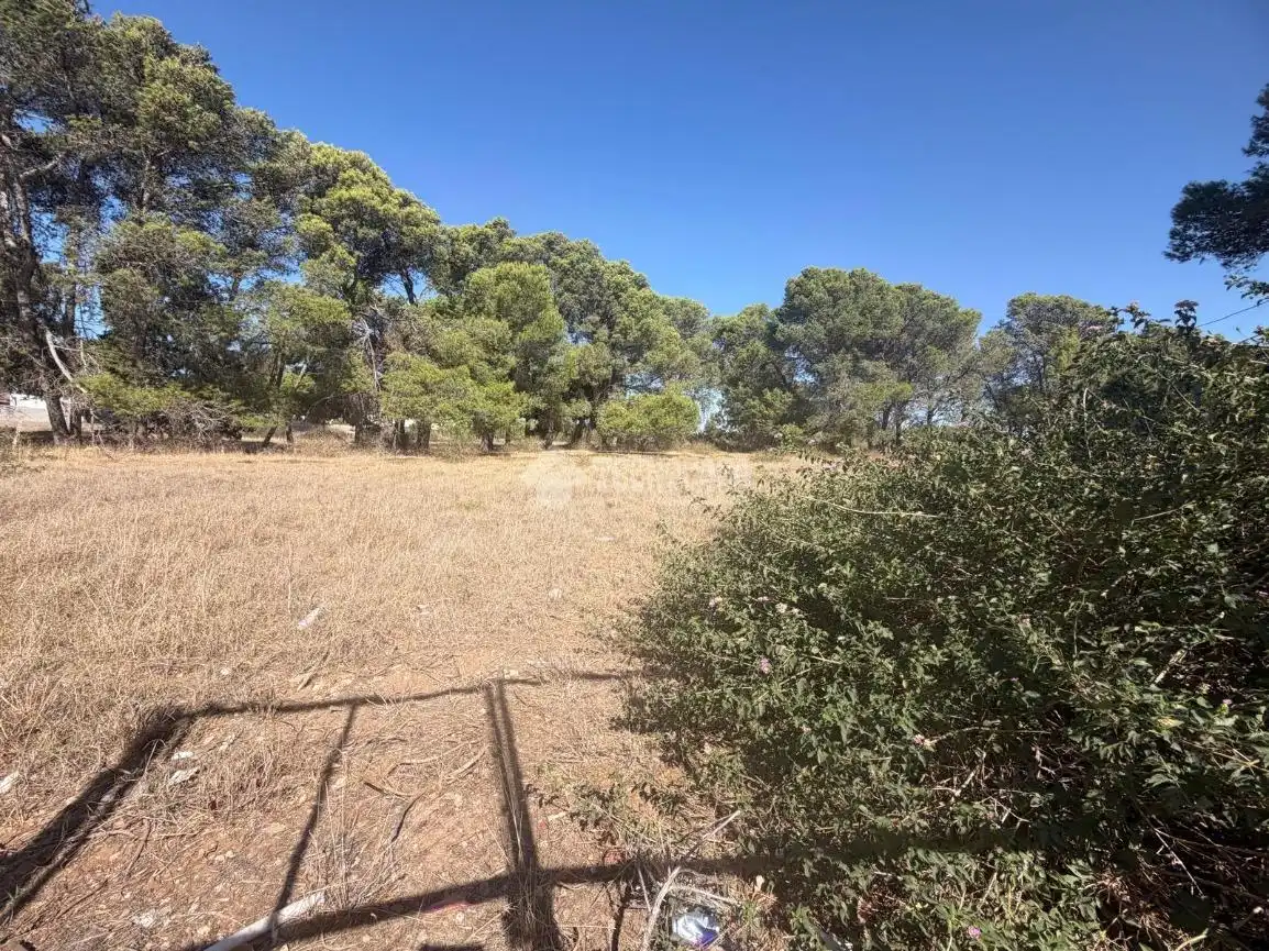 Terreny rústic en venda a Los Franceses – La Vega, imagen 13