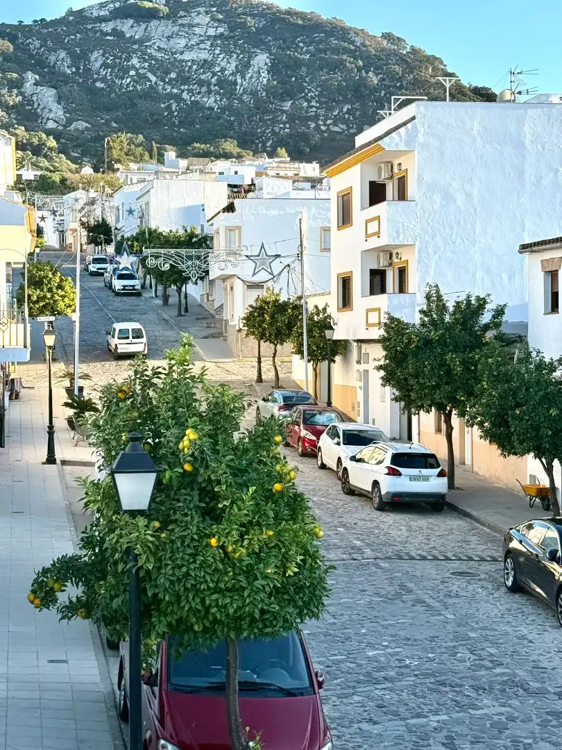 Casa amb jardí en venda a Facinas, imagen 6
