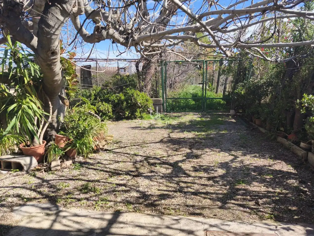 Jardín de Finca rústica en venta en Murcia con Terraza