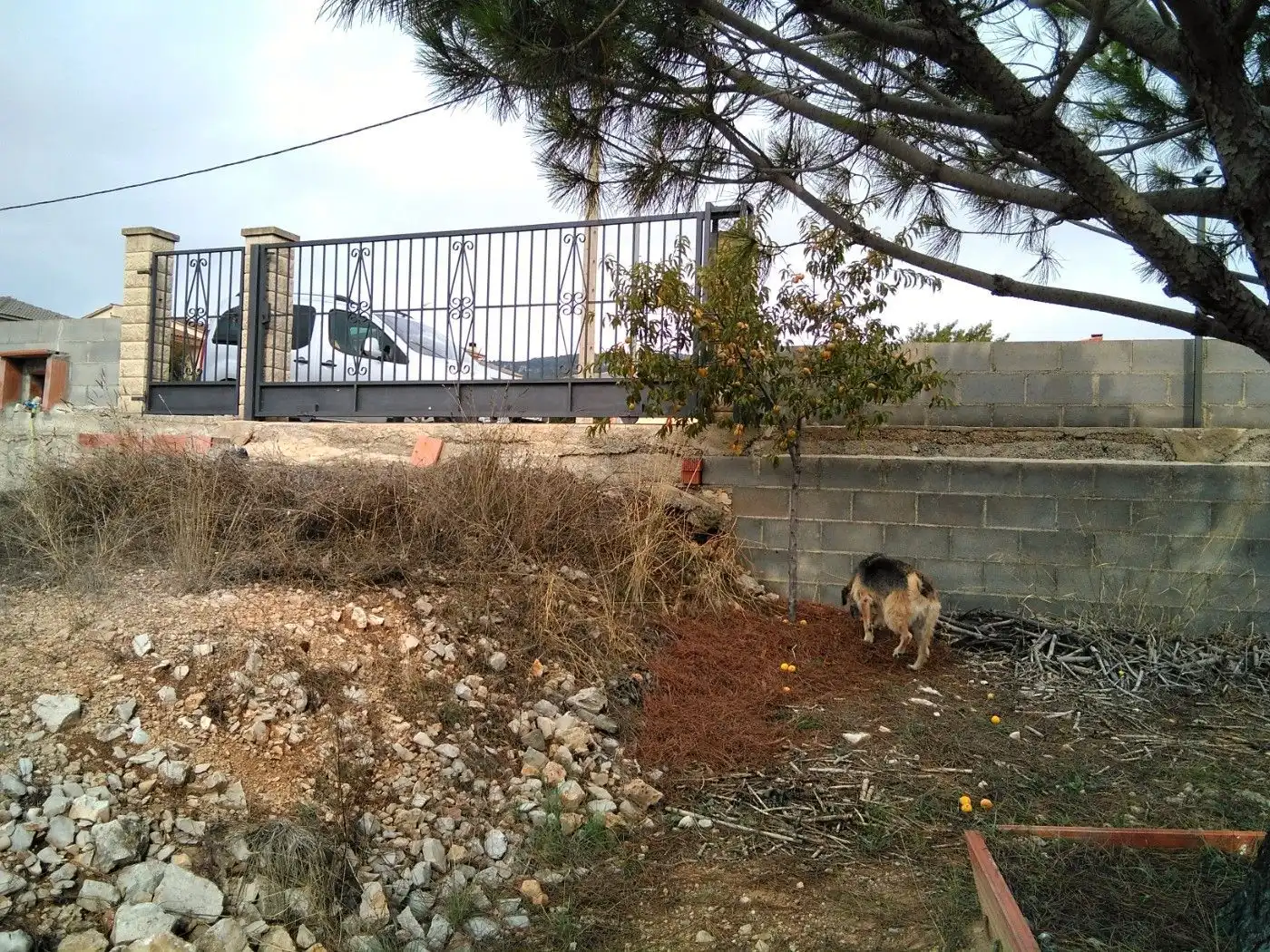 Terreno residenziale in vendita a Querol, imagen 13