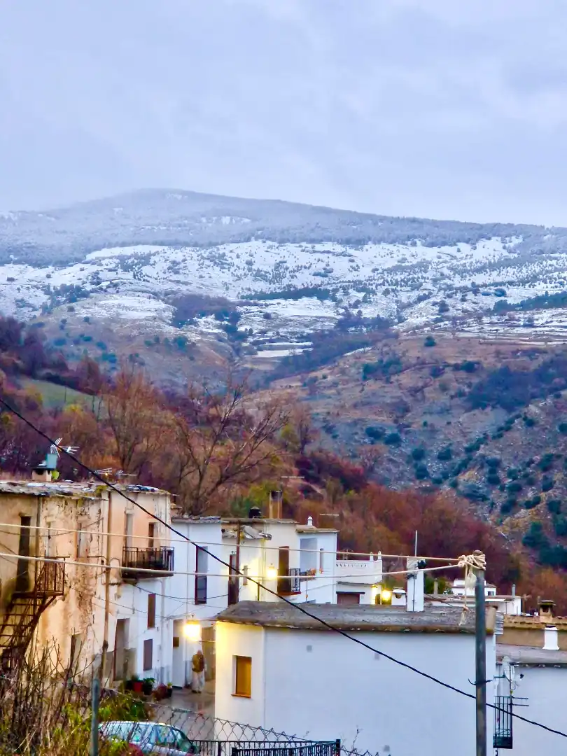 Vista exterior de Casa o chalet en venta en Bérchules con Calefacción, Jardín privado y Terraza