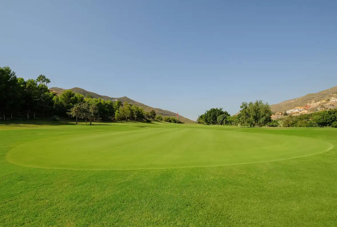 Terreno residencial en venta en Calle los Olivos, imagen 6