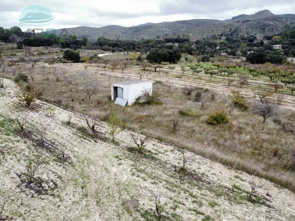 Terreny rústic en venda a Trocet