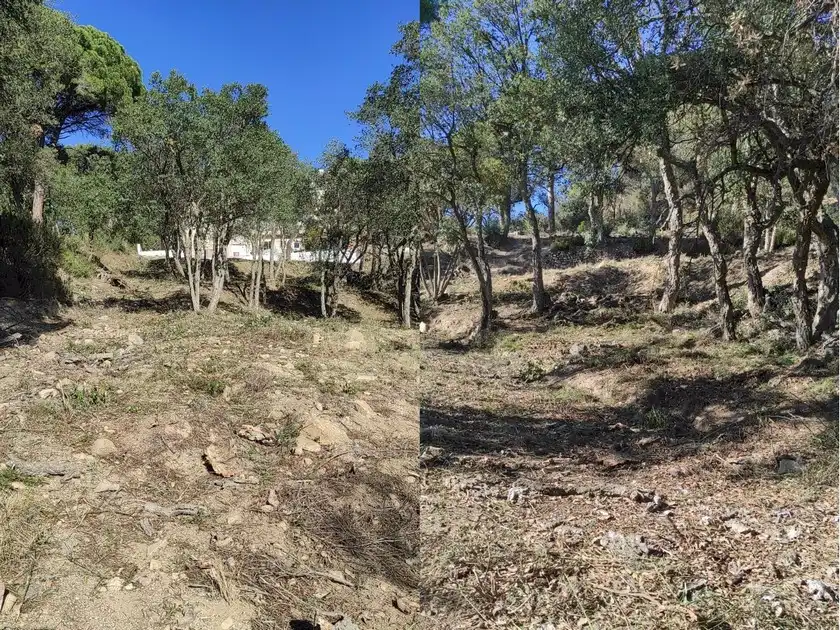 Terreny residencial en venda a Avinguda de les Mimoses, imagen 3