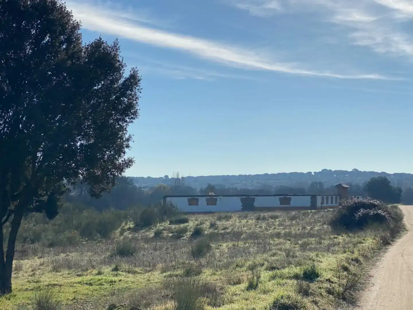 Finca rústica en venta en Villaviciosa de Odón