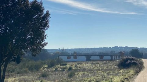 Foto 2 de Finca rústica en venda a Camí Camino la Zarzuela, ., Centro, Villaviciosa de Odón