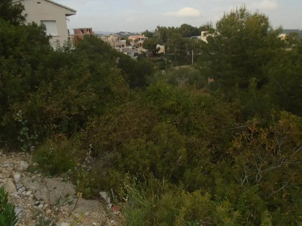 Rural land for sale in C/ Tulipa, imagen 9