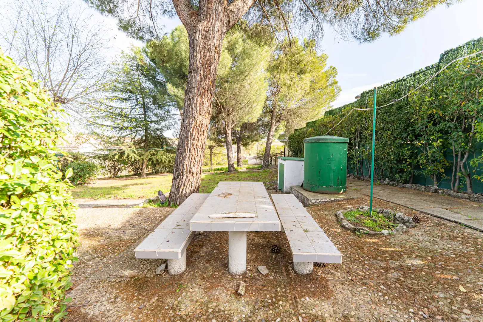 Residential land for sale in Calle de los Olivos, imagen 9