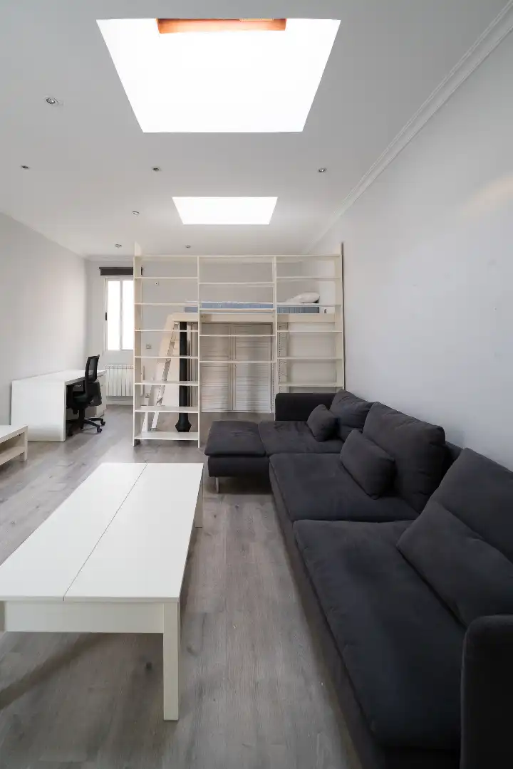 Flat for sale in Calle de Viriato, imagen 8