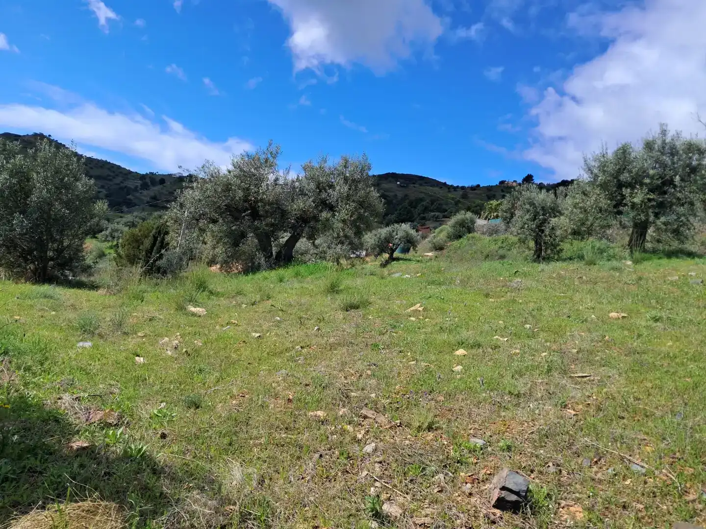 Finca rústica en venda en Almuñécar amb Traster, Moblat i Forn