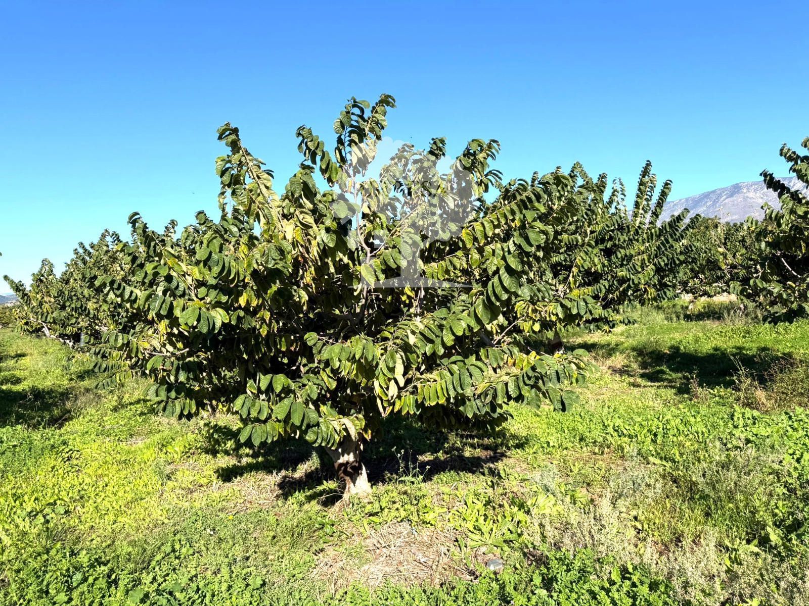 Außenansicht von Grundstücke zum verkauf in Motril