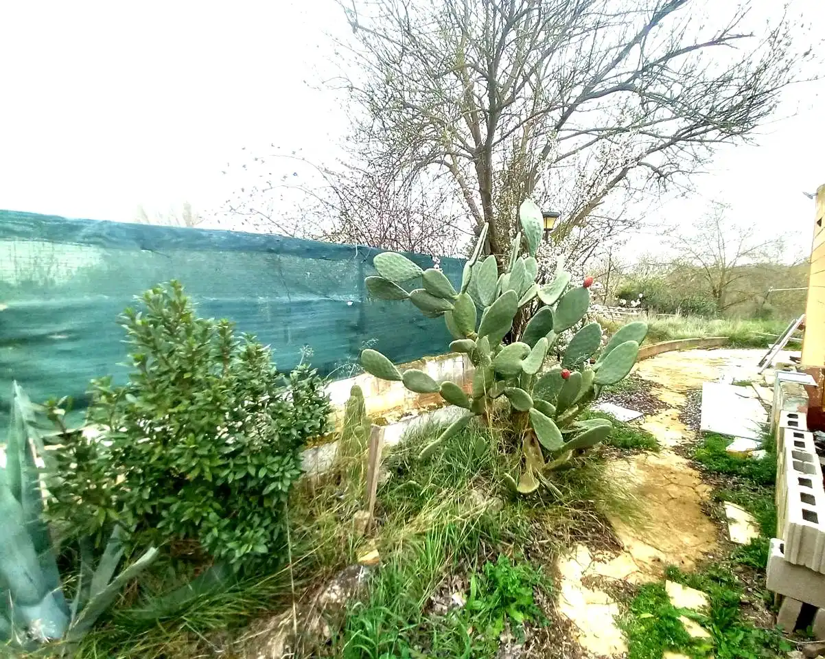 Jardín de Casa o chalet en venta en Mozota con Jardín privado, Trastero y Piscina