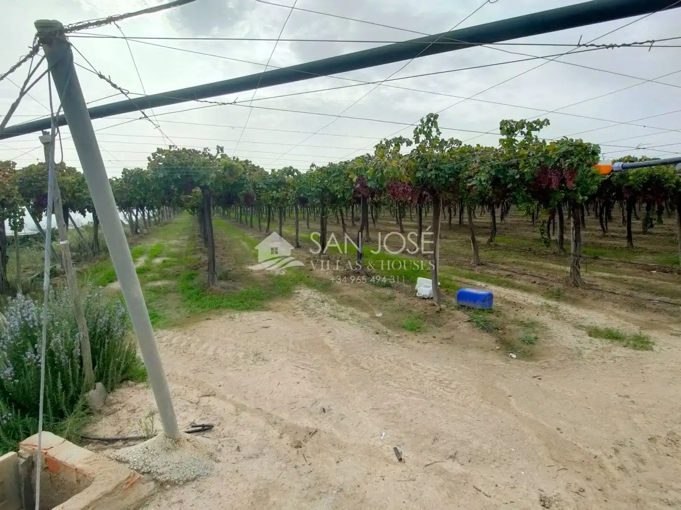 Casa o xalet en venda en Aspe