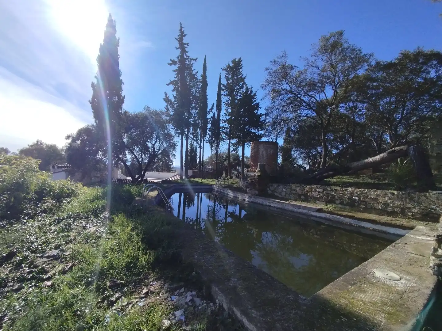 Jardín de Finca rústica en venta en Valverde de Mérida con Trastero, Piscina y Piscina comunitaria