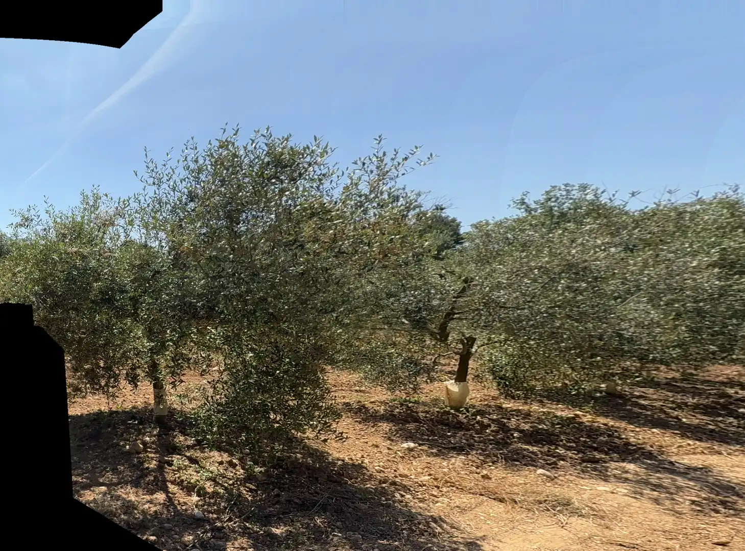 Rustikales Grundstück zum Verkauf in Camí del Cementiri 97, imagen 15