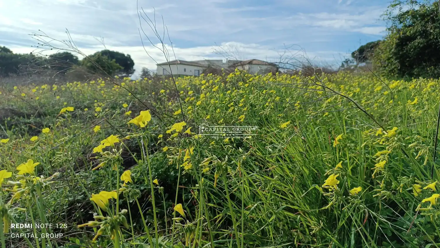 Terrenos y solares en venta en Gibraleón, imagen 33