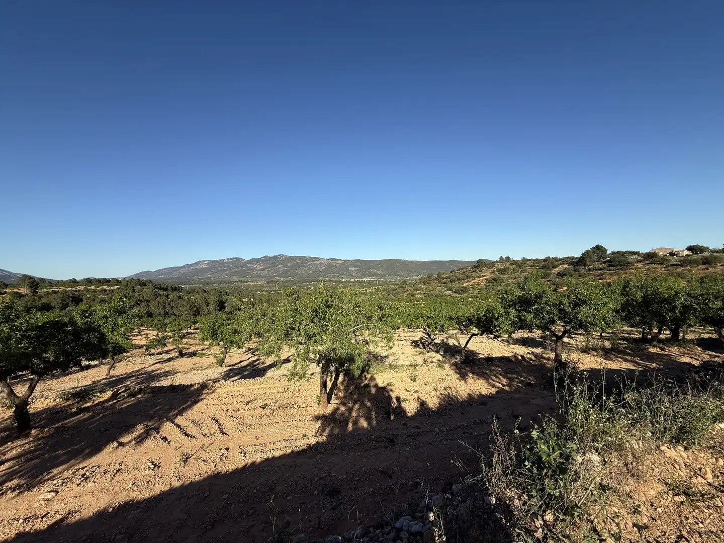Grundstücke zum Verkauf in Useras /  Les Useres, Castellón
