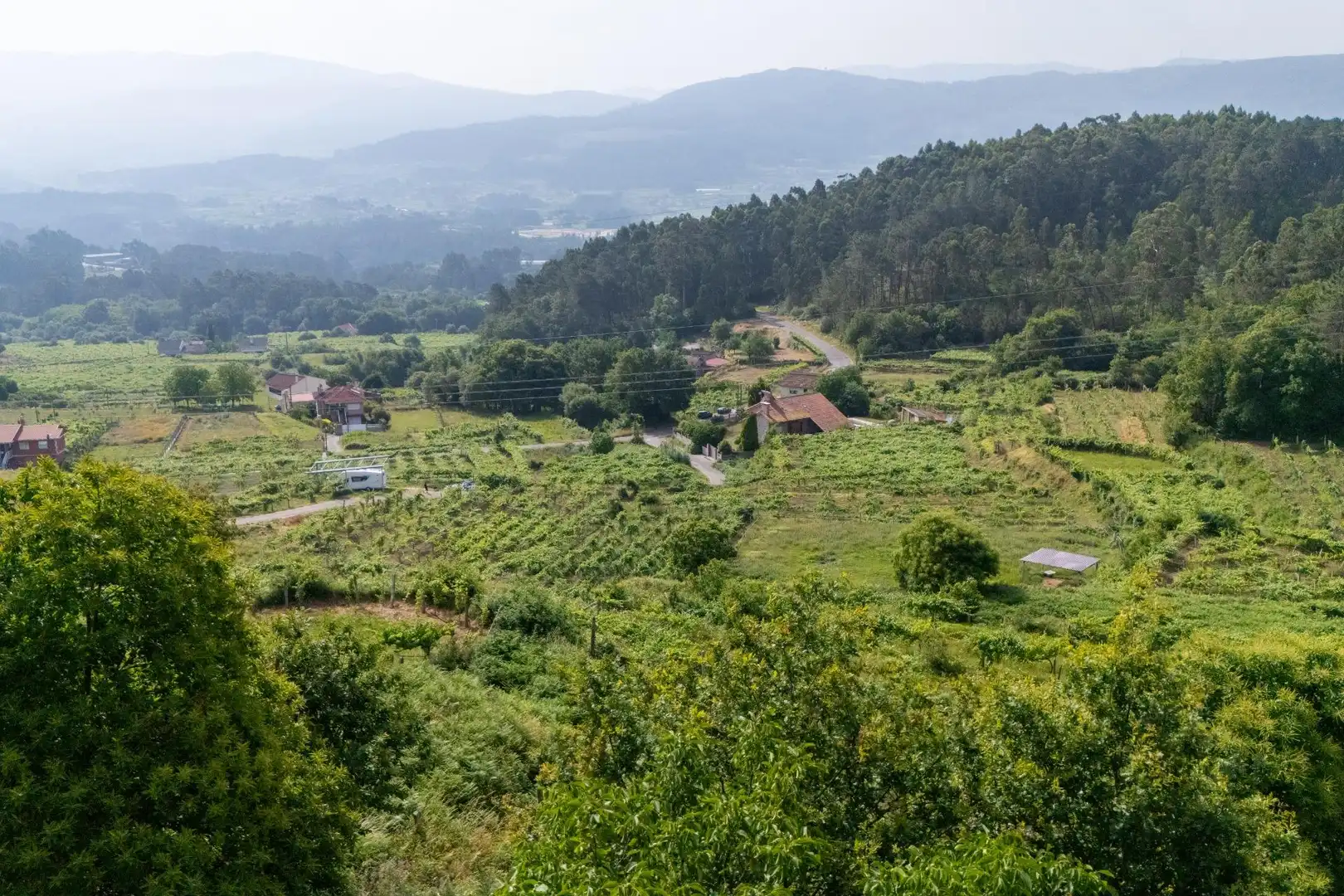 Finca rústica en venda en Arbo amb Jardí privat
