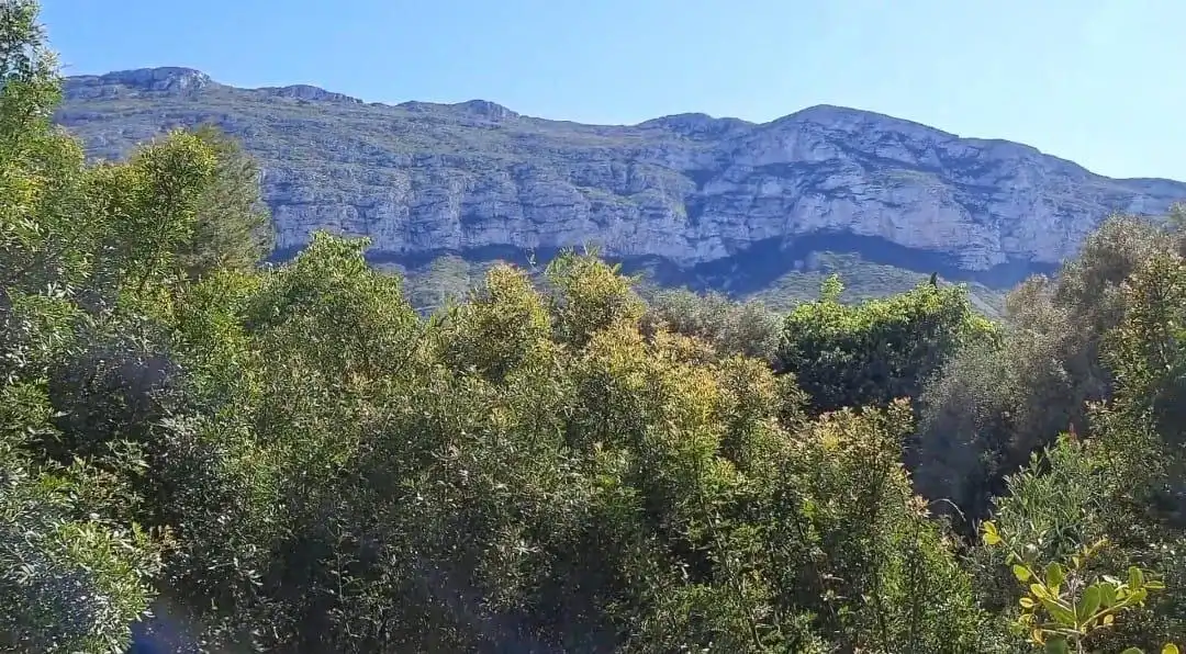 Terreny residencial en venda a El Montgó, imagen 2