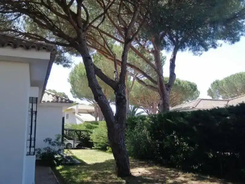 Jardín de Piso en venta en Conil de la Frontera con Jardín privado