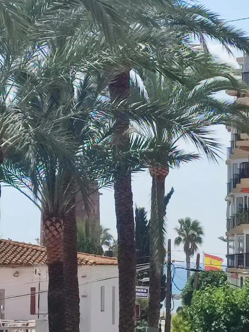 Vista exterior de Pis en venda en Benicasim / Benicàssim amb Aire condicionat, Terrassa i Moblat