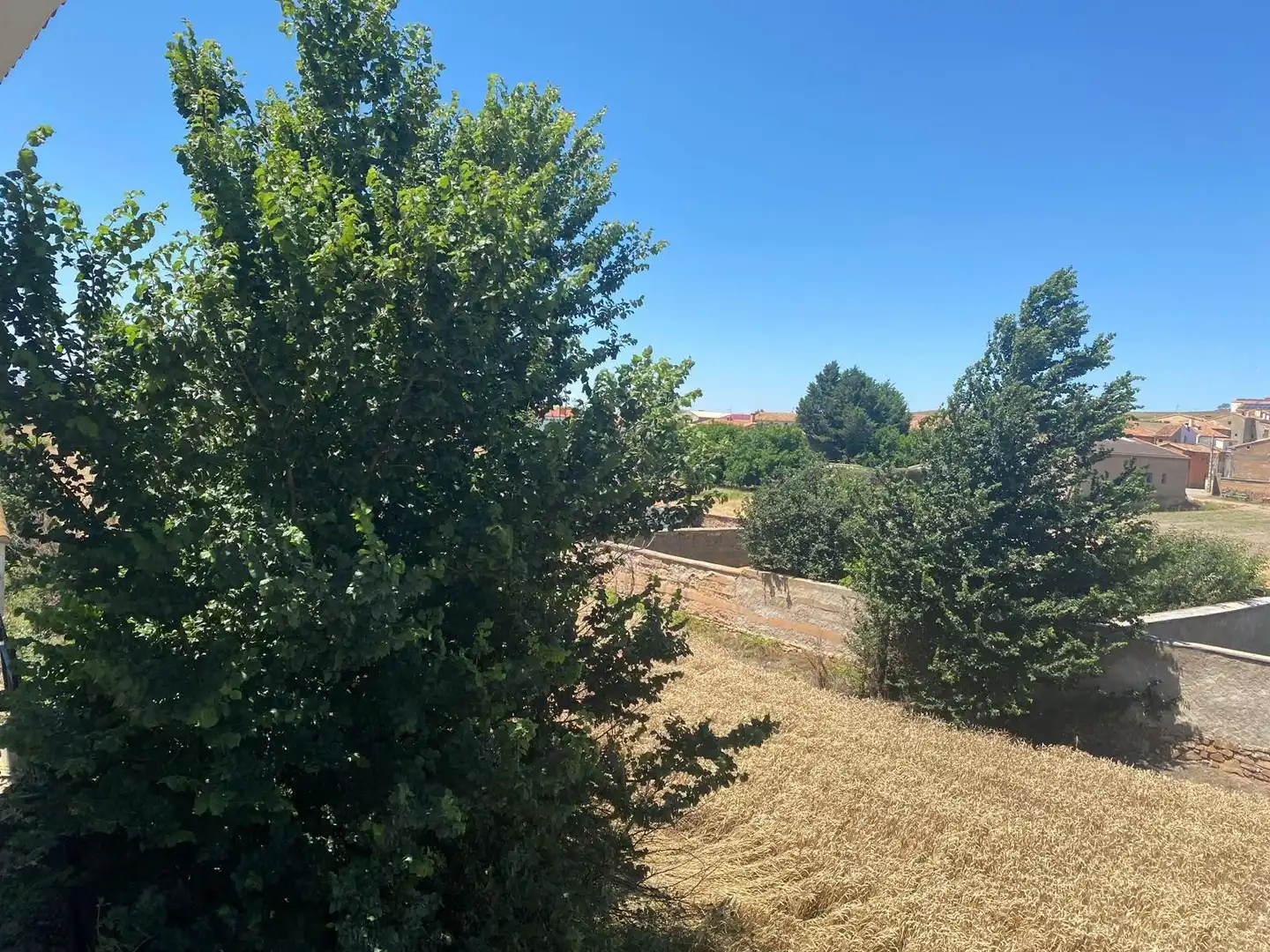Finca rústica en venda a Calle SERNA, Tornos