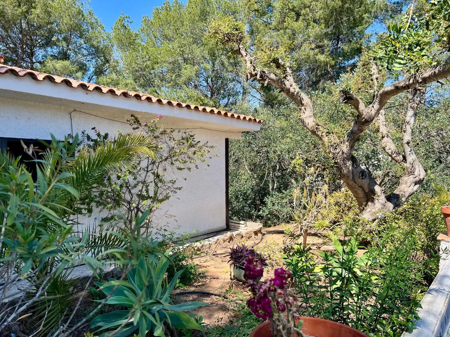 Jardín de Casa o chalet en venta en La Nucia con Aire acondicionado, Terraza y Amueblado