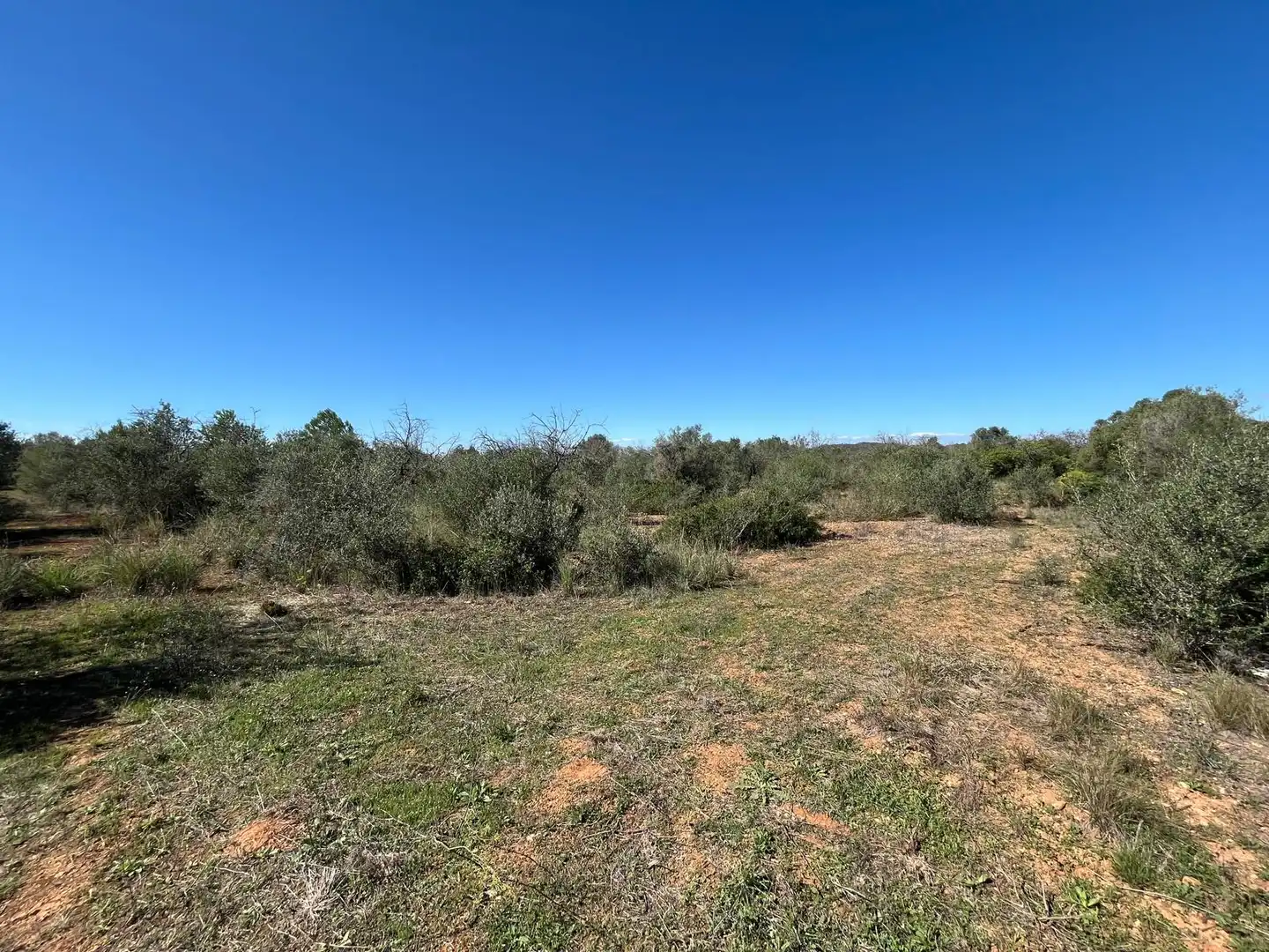 Terreno rústico en venta en Bonastre