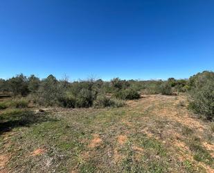 Land for sale in Bonastre