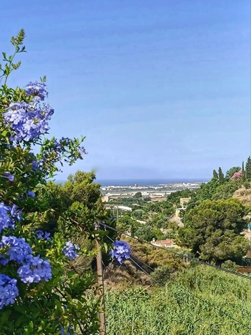 Haus mit Pool zum Verkauf in Motril  ciudad, imagen 3