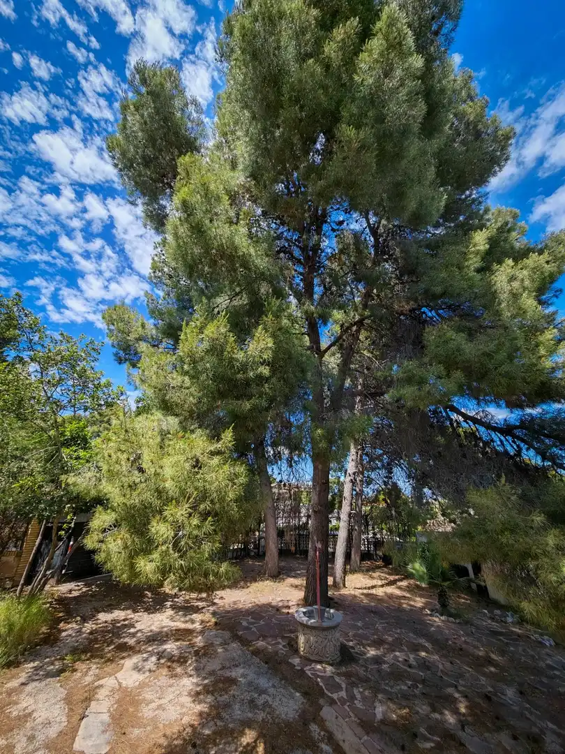 Vista exterior de Casa o chalet en venta en Chiva con Terraza, Trastero y Piscina