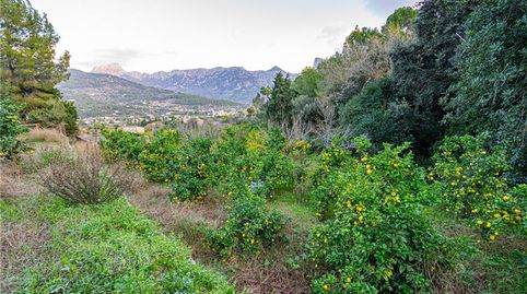 Suelo rústico en Sóller,, immagine 2