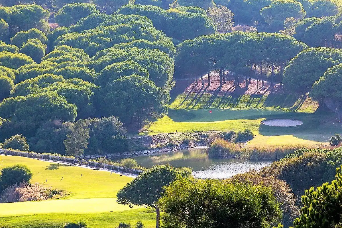 Xalet amb piscina en venda a Sotogrande Alto