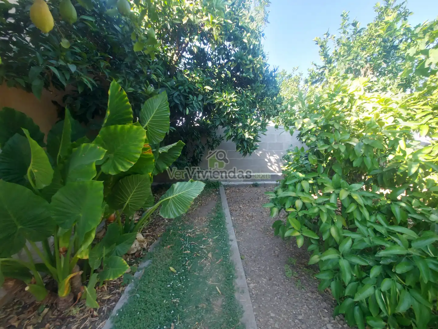 Jardí de Casa o xalet en venda en Piera amb Calefacció, Jardí privat i Terrassa