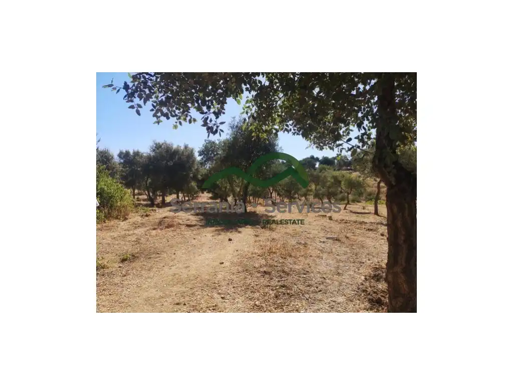 Finca rústica en venda en Faraján