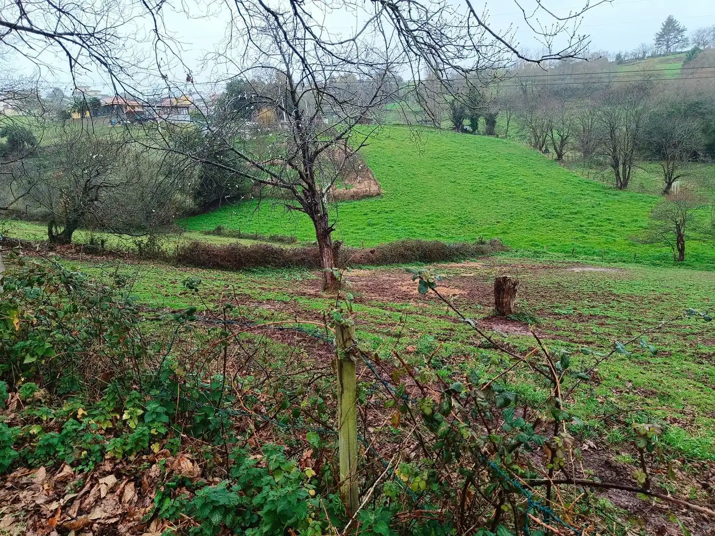 Casa o chalet en venta en Siero con Piscina