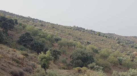 Photo 5 of Land for sale in Centro Histórico, Málaga