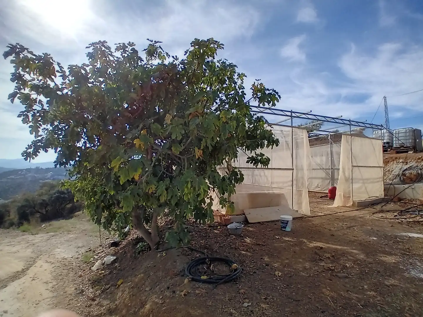 Nave industrial en venta en Guaro