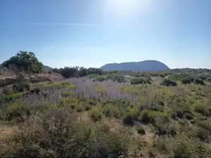 Finca rústica en venda en Alicante / Alacant
