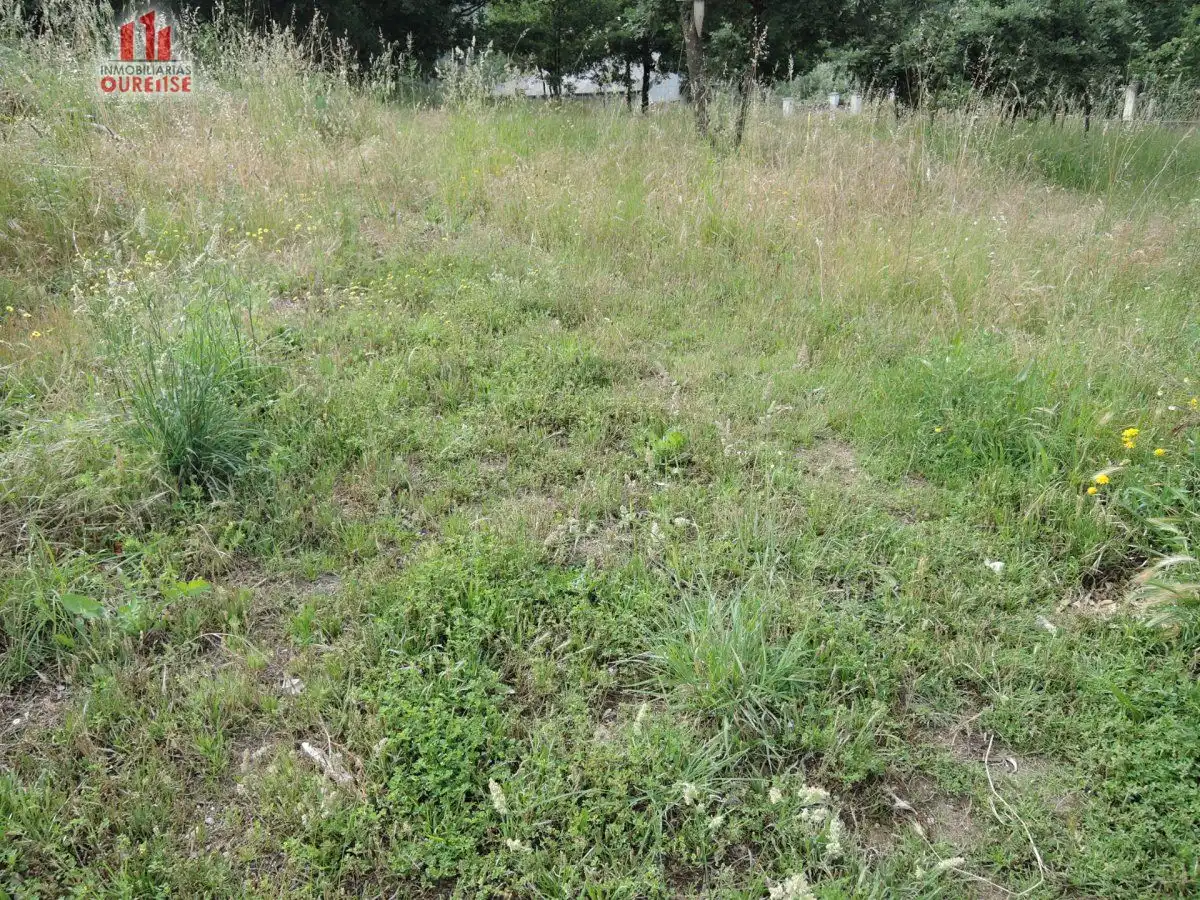 Terrenys i solars en venda a O Pereiro de Aguiar, imagen 2