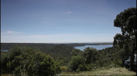 Foto 5 de Finca rústica en venta en Almodóvar del Río, Córdoba