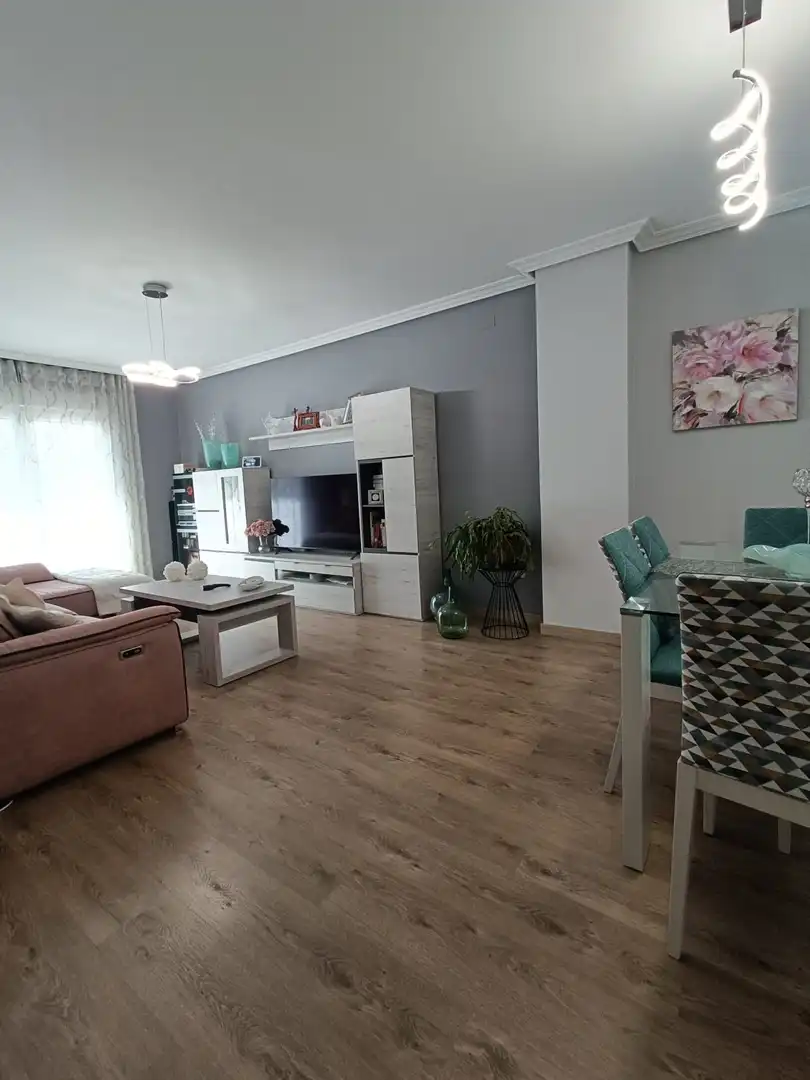 Sala de estar de Casa o chalet en venta en Ciudad Real con Aire acondicionado, Calefacción y Jardín privado