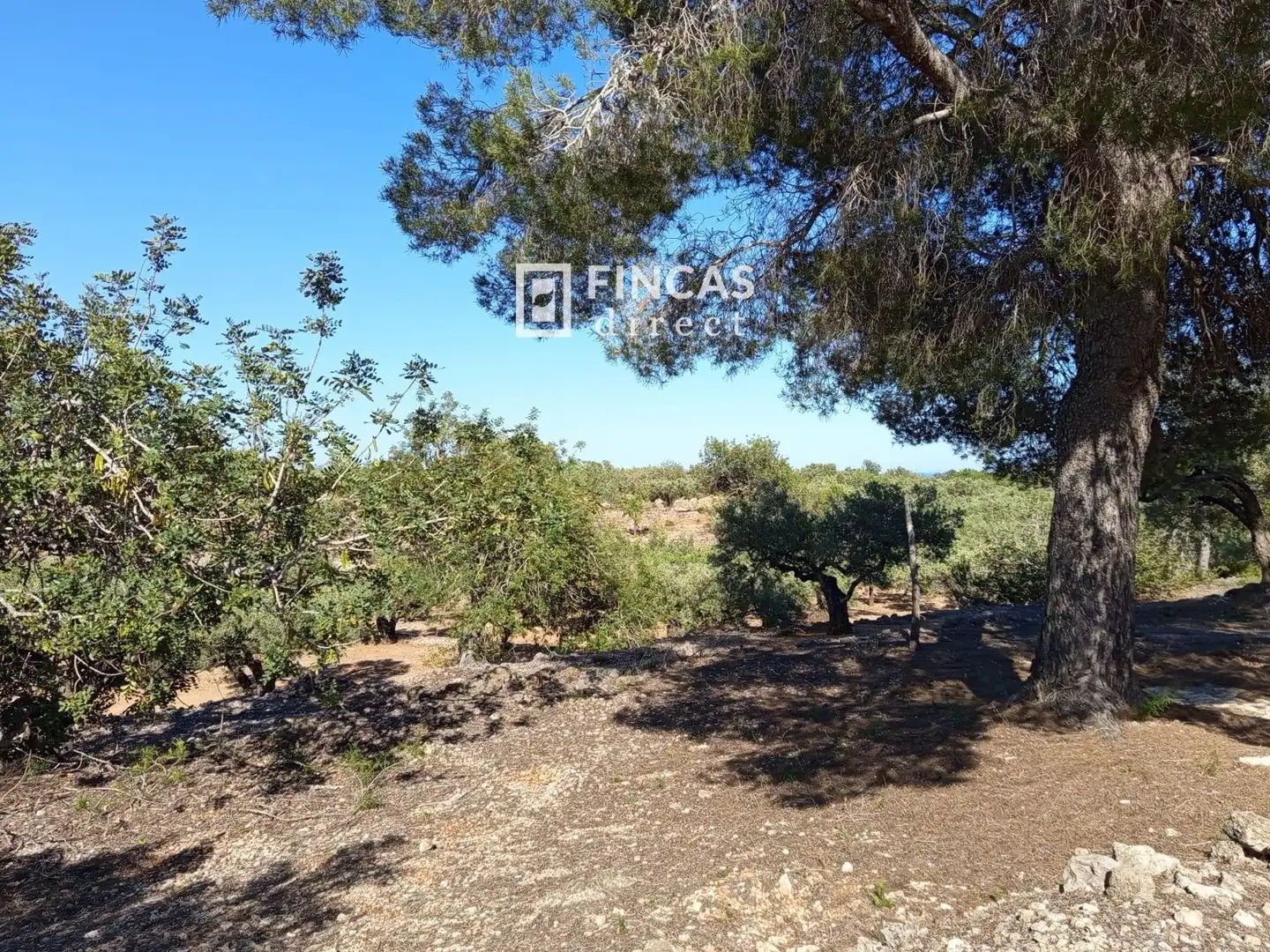 Maison rustique à vendre à RM57+V3F, imagen 8
