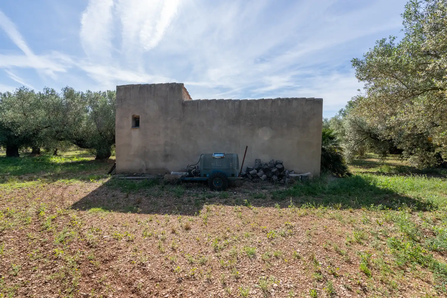 Terreno rustico in vendita a Camí de Terrapico 21, imagen 4