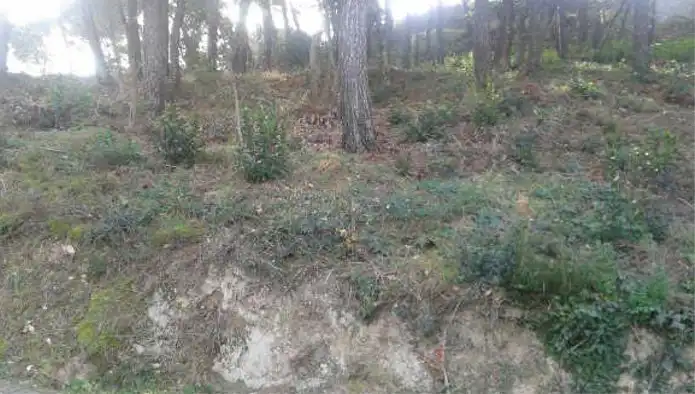 Rural land for sale in C/ Avets          -  Ur Can Fornaca  -, imagen 7