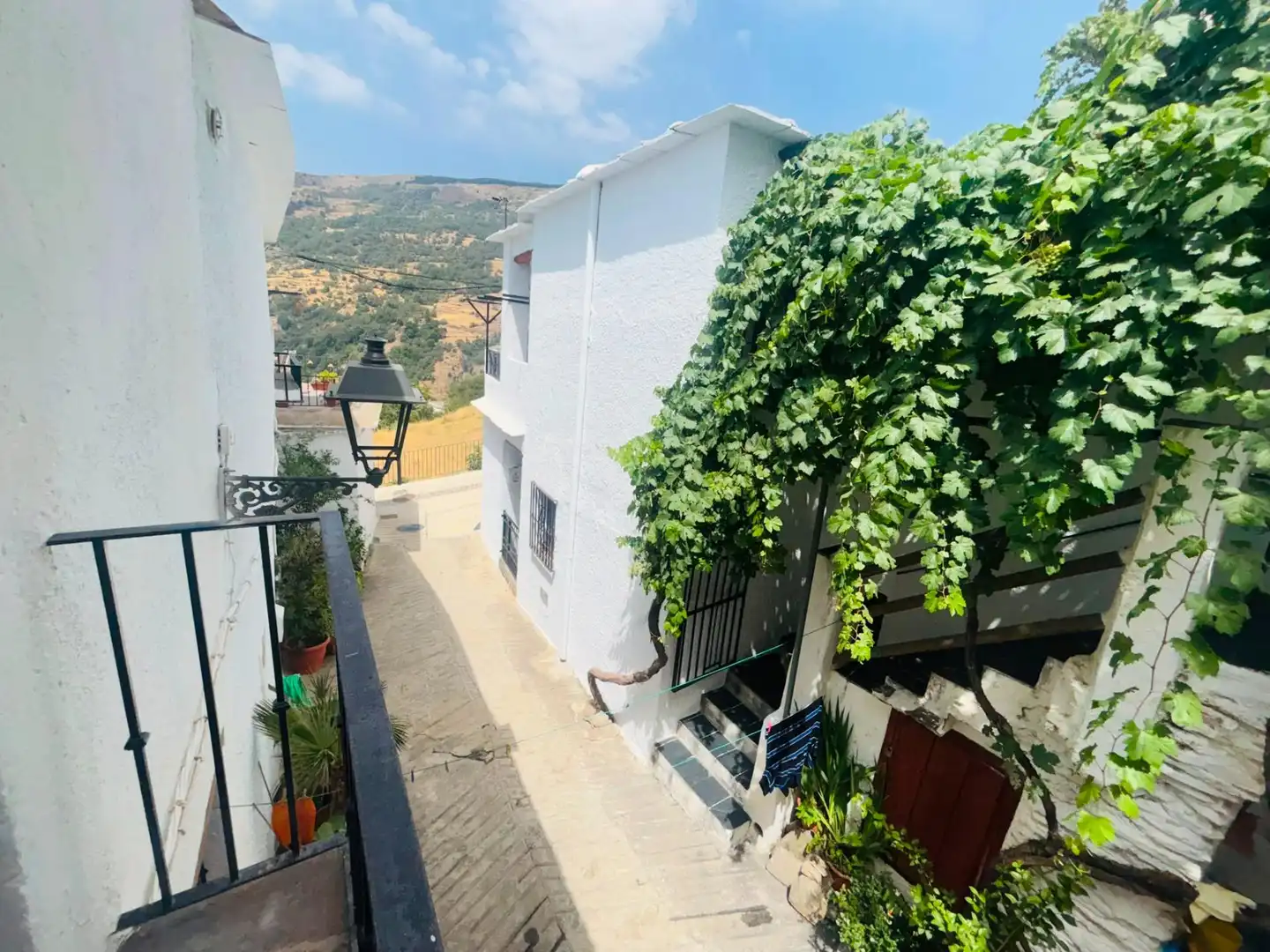 Vista exterior de Finca rústica en venta en Capileira